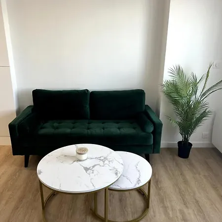 Proche Et Centre-ville 圣纳泽尔